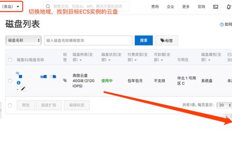 阿里云ECS云服务器40G系统盘不够用怎么办？