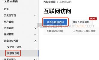 阿里云无影云桌面如何上网？互联网访问开通教程