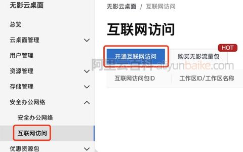 阿里云无影云桌面如何上网？互联网访问开通教程
