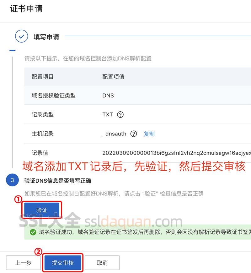 域名DNS验证并提交审核