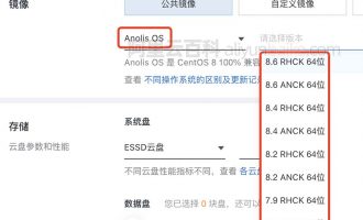 阿里云Anolis OS镜像龙蜥操作系统全解析