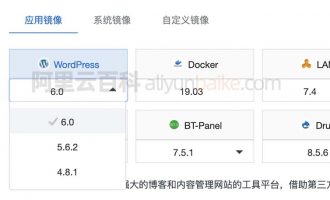 阿里云轻量服务器WordPress应用镜像安装配置网站上线全流程