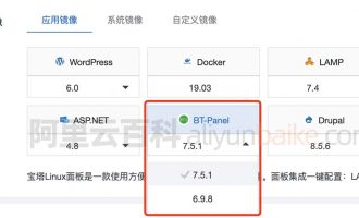 阿里云轻量应用服务器宝塔镜像BT-Panel版本支持说明