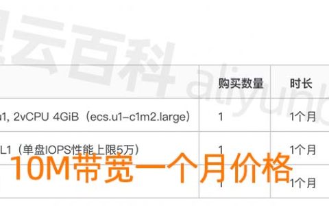 阿里云服务器10M公网带宽收费价格_10M一年和1个月报价