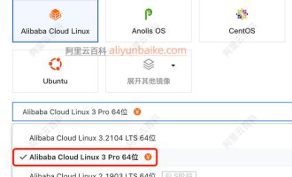 Alibaba Cloud Linux 3 Pro是什么？付费镜像有哪些优势？