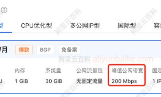 阿里云新版轻量应用服务器：200M大带宽、多公网IP型、出海首选