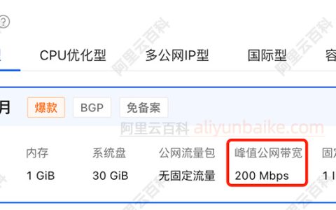 阿里云新版轻量应用服务器：200M大带宽、多公网IP型、出海首选