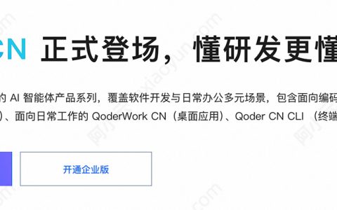 阿里云Qoder CN是什么？通义灵码AI编程助手免费、付费价格及使用指南